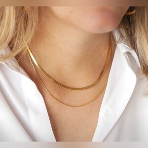 NWT 18K Gold Plated over Titanium Steel Double-Layered Necklace
